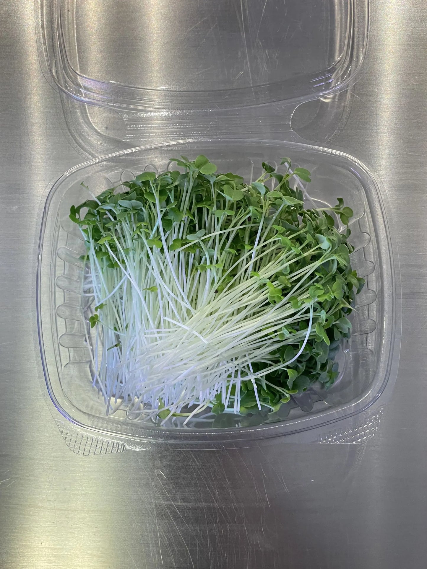 Mustard microgreens